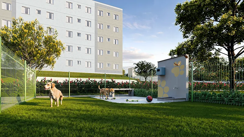 Pet place do Porto Guarani
